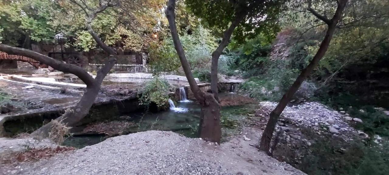 Villa Maria Tsomou Theologos  Esterno foto
